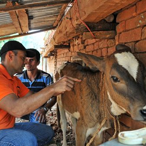 Animal Welfare & Protection Gallery