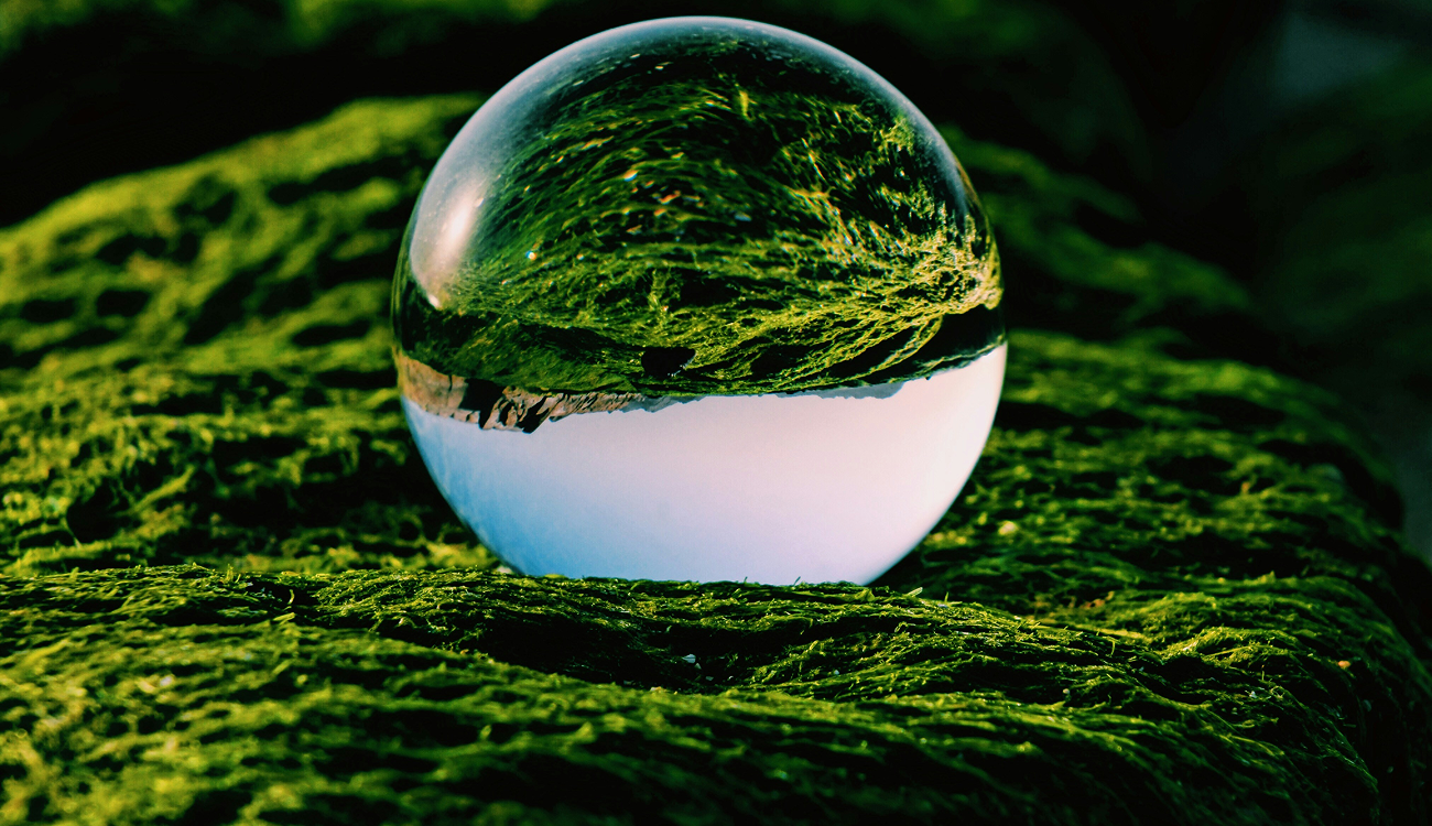 Environmental Protection & Sustainability 2