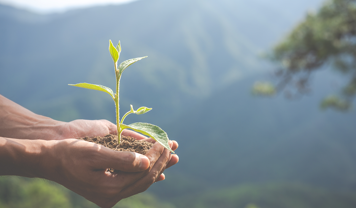 Environmental Protection & Sustainability 3