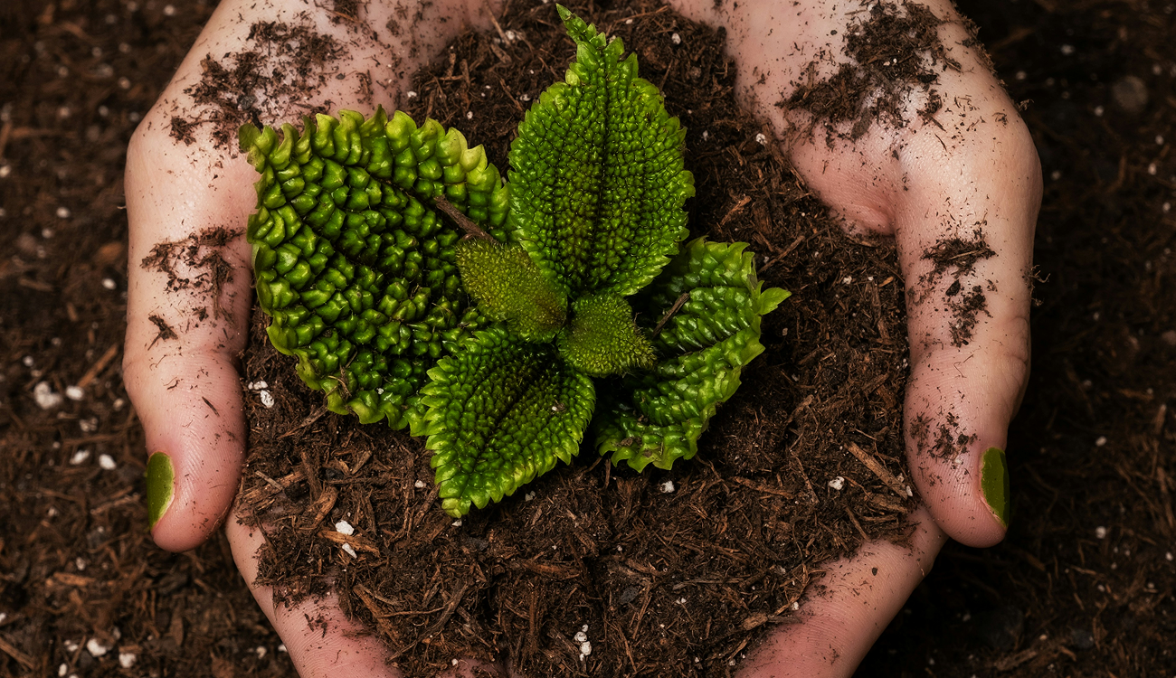 Environmental Protection & Sustainability 1