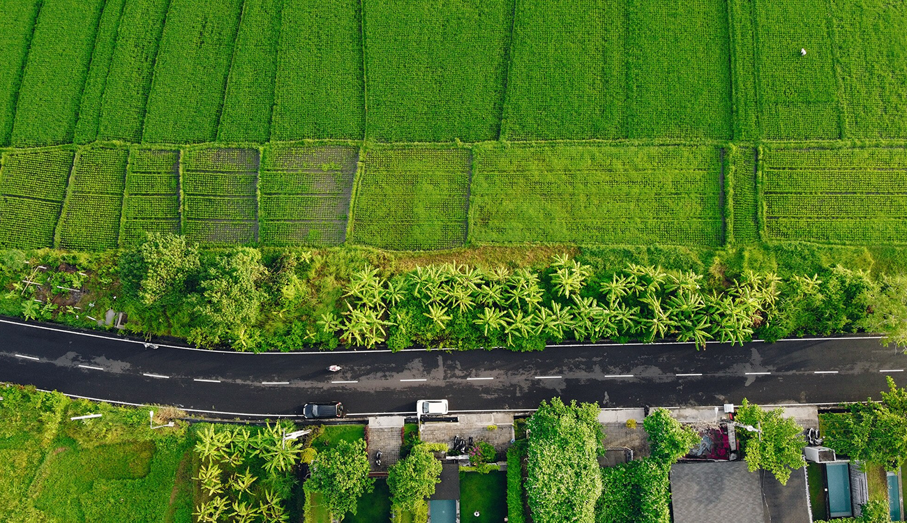 Rural Development & Infrastructure 3