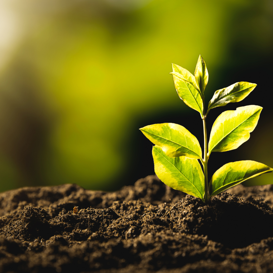 Environment Help - Harbak